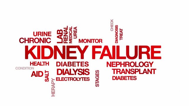 Kidney failure concept Animated Tag Word Cloud kinetic typography, Text Design Animation typography seamless loop video motion graphics Intro Wordart arrangement red type on white background backdrop 