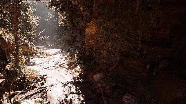 Shadowed grotto entrance with sunbeam, ideal for geologist survey and exploration, textured limestone walls with moisture drip, mossy crevices and echoing
