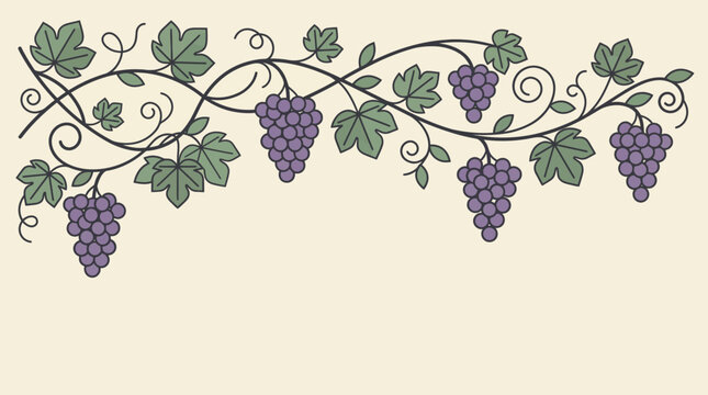 Decorative grapevine border with purple grape clusters and lush leaves on a cream background