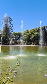 fountains in a lake ina green public park