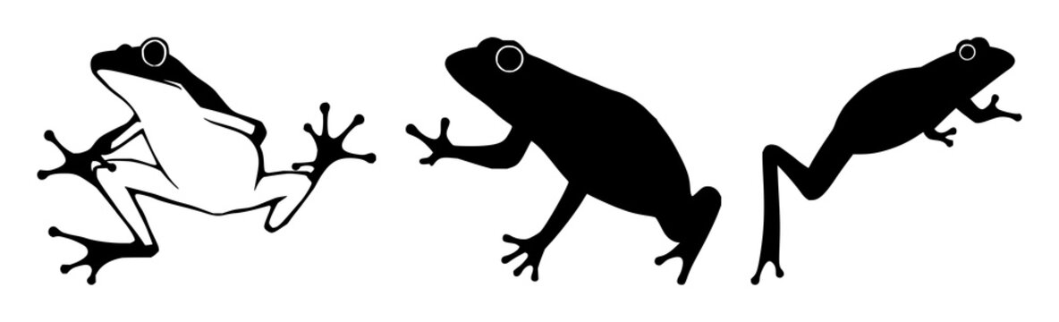 Frog silhouette set with dynamic jumping pose featuring amphibian, wildlife, motion with black and white and outline illustration