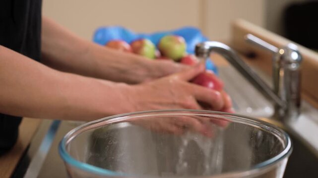 Washing apples under running water preparing homemade compote. Rinsing fresh fruits cleaning them for traditional drink. Scrubbing ripe apples getting ingredients ready for sweet homemade beverage