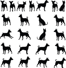 Obraz premium Dog, silhouettes, collection, vector, set, different, poses, standing, sitting, running, isolated, black, shapes, canine, animals, icons, minimal, design, illustration, pack