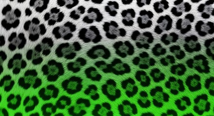 Obraz premium Green and white gradient leopard fur and animal skin pattern. Eco friendly fashion and nature camouflage concept. Feline spotted texture transitioning from grey to vibrant green hair