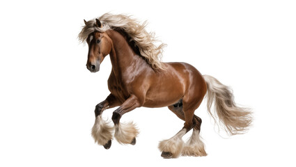 Stunning brown horse with luxurious flowing blonde mane and tail moving dynamically © Paula