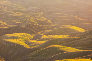 Naklejka premium Green hills