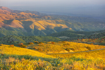 Naklejka premium Green hills