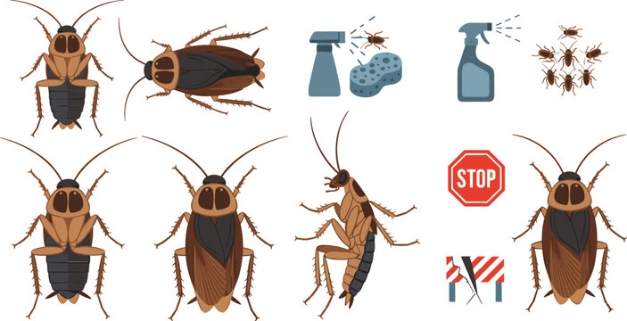 Cockroach pest control set with insects and cleaning tools, household infestation prevention concept vector illustration design