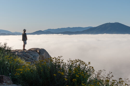 Man Standing on Rocky Outcrop Above Marine Layer Cloud Inversion with Yellow Wildflowers