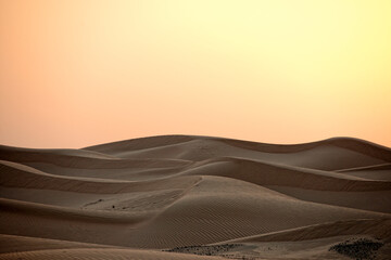 Golden sunset light casts soft shadows over rippling sand dunes, creating a serene and vast desert landscape with minimalist appeal. © fornax