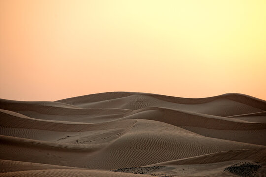 Golden sunset light casts soft shadows over rippling sand dunes, creating a serene and vast desert landscape with minimalist appeal.