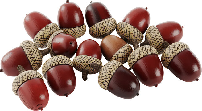 Collection of brown and red acorns with caps isolated on transparent background, symbolizing autumn and nature