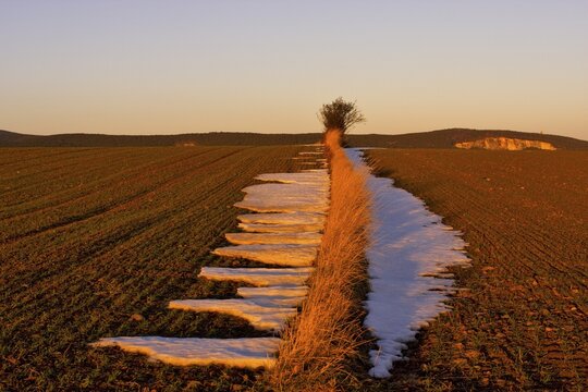 Fields in the evening light, St. Veit, Lower Austria, Austria, Europe