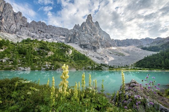 Turquoise-green Sorapis lake with flowers, Lago di Sorapis and mountain top Dito di Dio, Dolomites, Belluno, Italy