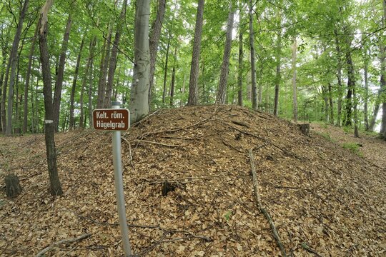 Burial mound, Hochneukirchen, Bucklige Welt landscape, Lower Austria, Austria, Europe