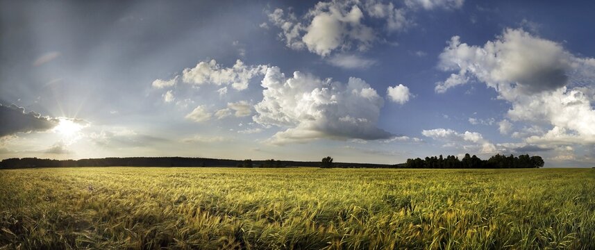 Barley field, panoramic view at sunset, clouds, Adelschlag, Bavaria, Germany, Europe