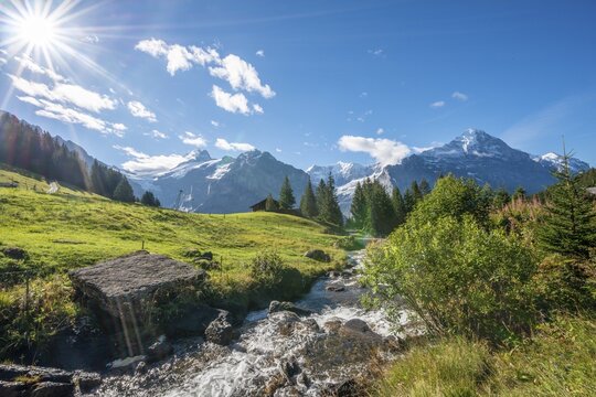Mountain stream in bright sunshine, snow-covered Schreckhorn and Eiger in the back, Grindelwald, Bern, Switzerland
