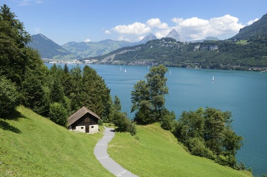 Ruetli, the founding site of Switzerland, with the Kleiner Mythen and Grosser Mythen mountains, Brunnen, Switzerland, Europe