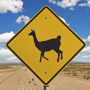 Lama sign, Altiplano, Potosi, Bolivia, South America