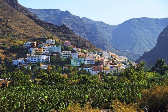 Village of La Calera and a banana plantation, Fei banana (Musa troglodytarum), Valle de Gran Rey Valley, La Gomera, Canary Islands, Spain, Europe
