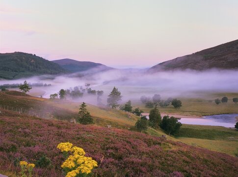 Morning mood at Dee Valley with River Dee, Braemer, Scotland, United Kingdom, Europe