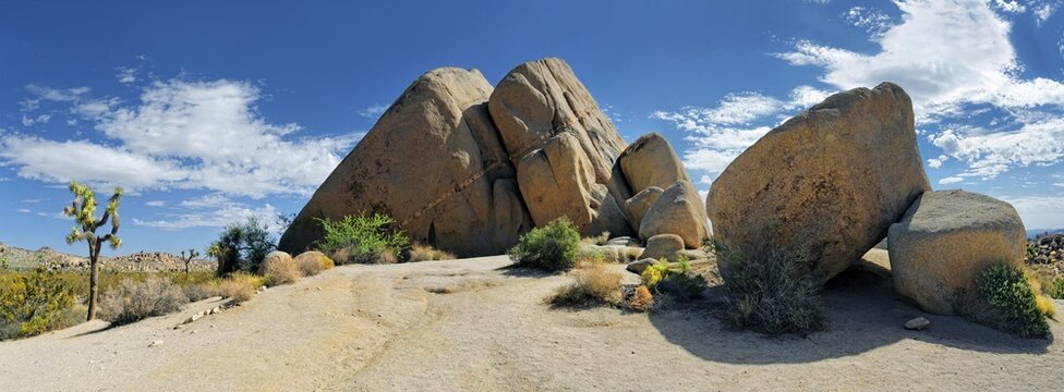 Huge granite rocks of Split Rocks with a Joshua Tree or Palm Tree Yucca (Yucca brevifolia), Joshua Tree National Park, Desert Center, California, USA