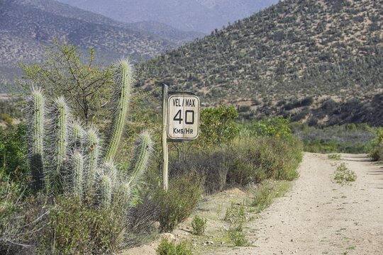 Wooden sign, max 40 kmh, and a Copao Cactus (Eulychnia acida Phil.), Las Chinchillas National Reserve, Reserva Nacional Las Chinchillas, Illapel, Regi&oacute;n de Coquimbo, Chile