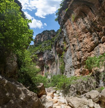 Green trees in the gorge, steep cliffs of the Garganta Verde, Sierra de C&aacute;diz, province of C&aacute;diz, Spain