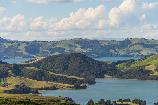 Hoopers Inlet, Inlet in green hilly landscape, Dunedin, Otago Peninsula, South Island, New Zealand, Oceania