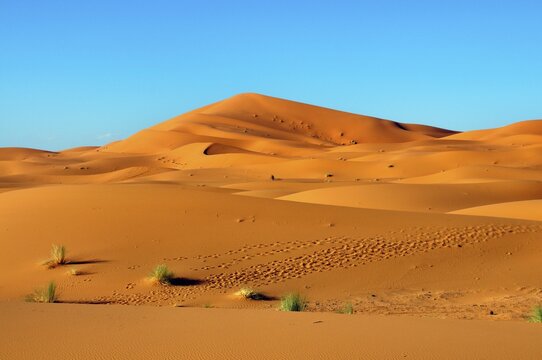 Sand dunes, Erg Chebbi, Morocco, Africa