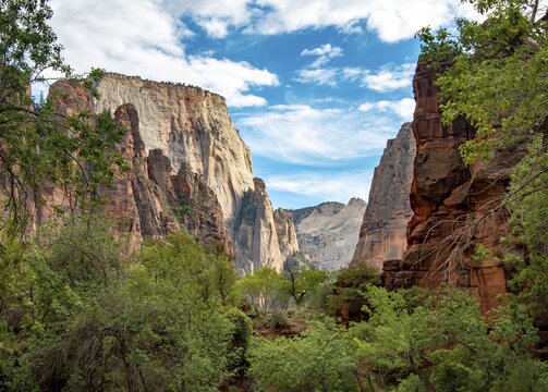 View in Zion Canyon with Mount Great White Throne, Zion National Park, Utah, USA