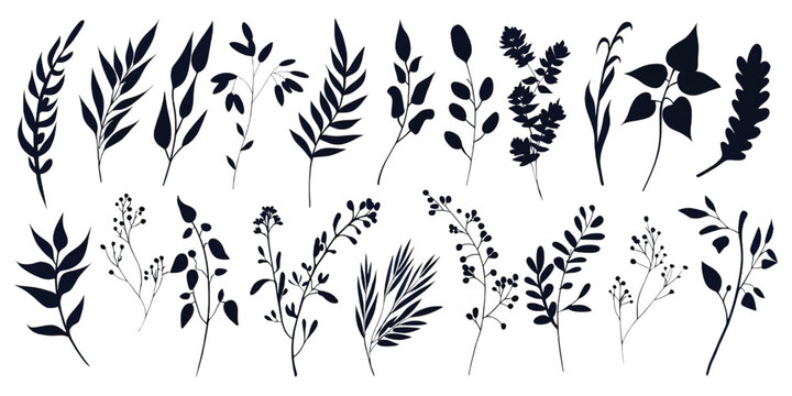 A collection of various hand drawn botanical elements and plant silhouettes on white background