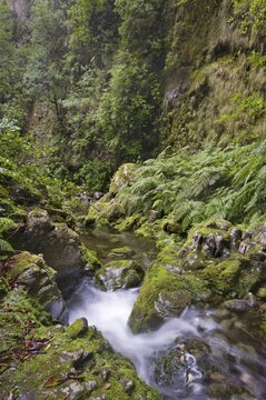 Source of the Levada do Rei, Ribeiro Bonito, Sao Jorge, Madeira, Portugal