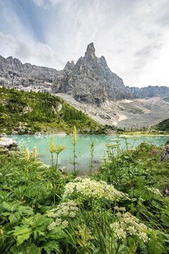 Turquoise-green Sorapis lake with flowers, Lago di Sorapis and mountain top Dito di Dio, Dolomites, Belluno, Italy