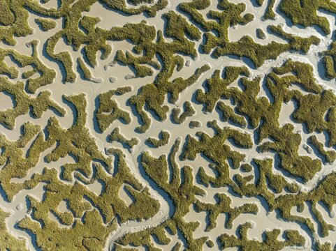 Network of dry channels and streams at low tide, in the marshland of the Bah&iacute;a de C&aacute;diz, aerial view, drone shot, C&aacute;diz province, Andalusia, Spain