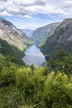 Mountains and fjord, N&aelig;r&oslash;yfjord, Aurland, Norway