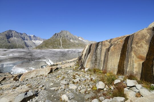 Great Aletsch Glacier, Mt. Olmenhorn in the back, UNESCO World Heritage Site Swiss Alps Jungfrau-Aletsch, Goms, Valais, Switzerland, Europe