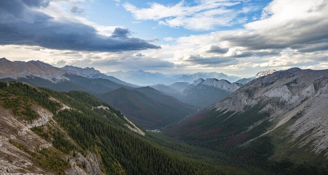 View into forested valley, mountain peak and Ashlar Ridge in the back, Sulphur Skyline Trail, Jasper National Park, Alberta, Canada