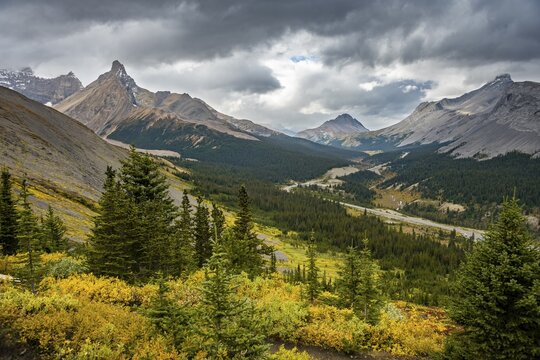 View into the valley with Icelfields Parkway, view of mountain landscape and glaciers in autumn, mountains Hilda Peak and Nigel Peak, Jasper National Park National Park, Canadian Rocky Mountains, Alberta, Canada