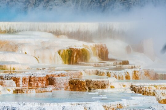 Sinter terraces with calcareous tuff deposits, hot springs, colorful mineral deposits, Palette Springs, Lower Terraces, Mammoth Hot Springs, Yellowstone National Park, Wyoming, USA