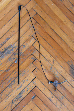 Cat toy with feather teaser on wooden floor