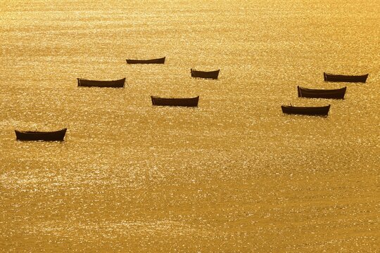 Boats on the sea, Rameswaram, Pamban Island, Tamil Nadu, India