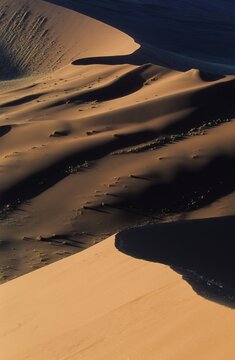 Red sand dunes, Sossusvlei, Namib-Naukluft National Park, Namibia, Africa