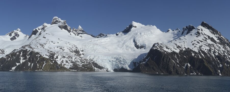King Haakon Bay, snow covered mountains and glaciers, South Georgia, South Georgia and the Sandwich Islands, Antarctica