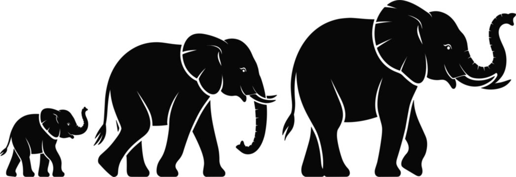 Elephant family silhouette vector with walking baby and adult elephants isolated on white background, animal