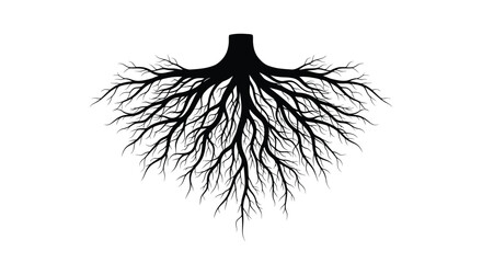 Intricate network of roots depicted as a striking black silhouette © momotaj
