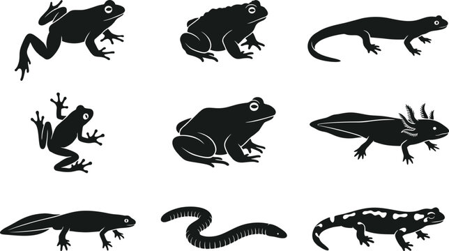 Collection of amphibian silhouettes vector illustration