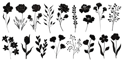 Fototapeta premium A collection of various hand drawn botanical flower and foliage silhouettes in black and white