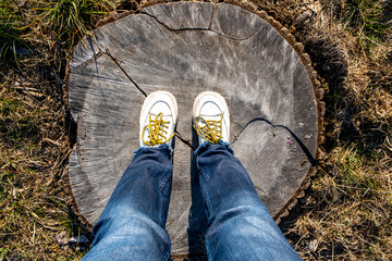 A man in sneakers stands on a 136-year-old tree stump with visible growth rings in the open air. © Eugeniusz