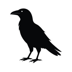 Fototapeta premium Black silhouette of a raven isolated on white background looking to the left